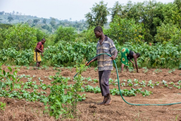 Togo : un forum social des paysans du 26 au 27 novembre prochain